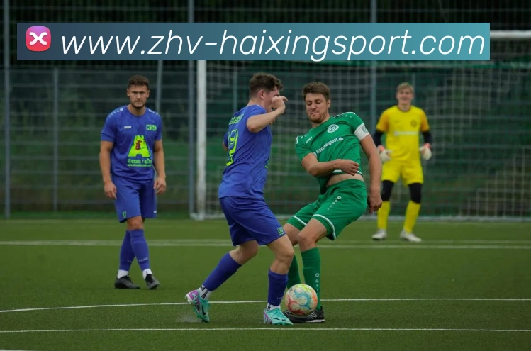 海星体育直播服务体系